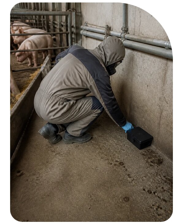 Дератизация фермы в Печоре — профессионально от 15273 р. | Сенат-Пчр